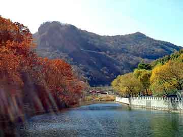 新澳天天开奖资料大全旅游团，天崖论坛